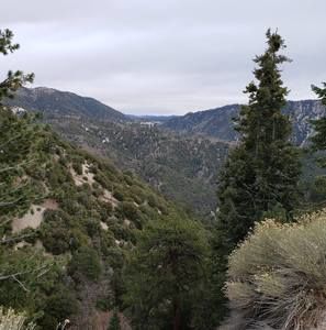 Meet your Posher, Phet